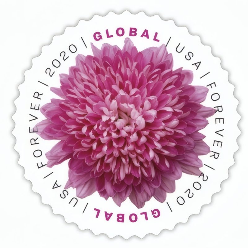 Global Chrysanthemum 2020