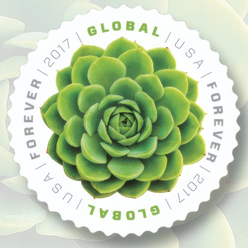 Global Green Succulent 2017