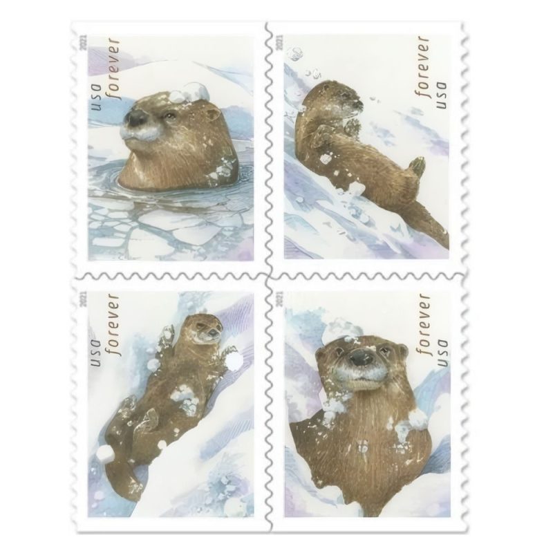 Otters in Snow 2021